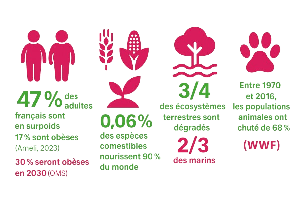 30 de Francais obeses en 2030